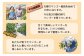 ＜鉢植え樹上　完熟マンゴー 4玉＞
