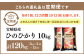 ＜12ヶ月定期便 宮崎県産ひのひかり10kg＞