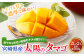 ＜宮崎県産太陽のタマゴ 2L×2玉(合計約700g)＞