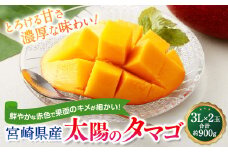 ＜宮崎県産 太陽のタマゴ 3L×2玉 (合計約900g)＞2024年5月中旬～7月下旬迄に順次出荷