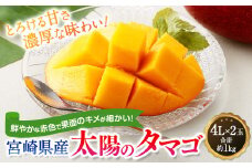 ＜宮崎県産 太陽のタマゴ 限定100箱 4L×2玉 (合計約1kg)＞2024年5月中旬～7月下旬迄に順次出荷
