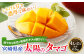＜宮崎県産太陽のタマゴ 限定100箱 4L×2玉(合計約1kg)＞