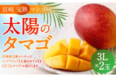 ＜宮崎県 完熟マンゴー【太陽のタマゴ】3L×2玉 900g＞2024年4月下旬～7月中旬迄に順次出荷
