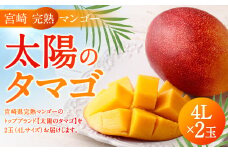 ＜宮崎県 完熟マンゴー【太陽のタマゴ】4L×2玉 1kg＞2024年4月下旬～7月中旬迄に順次出荷