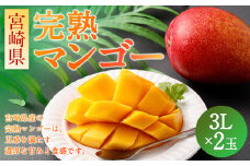 ＜宮崎県 完熟マンゴー3L×2玉 900g＞入金確認後、2～3週間以内に順次出荷 
