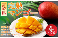 ＜宮崎県 完熟マンゴー2L×2玉 700g＞入金確認後、2～3週間以内に順次出荷 