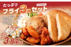 ＜国産鶏肉使用 フライ3種セット＞2か月以内に順次出荷 計約3.84kg 計10パック チーズインチキンフライ ネギみそメンチカツ ささみのピリ辛揚げ