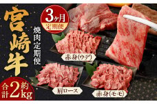 ＜宮崎牛 焼肉 定期便3回＞翌月下旬頃に第1回目発送（12月は中旬頃） 霜降り 肩ロース 赤身 計約2kg