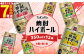 ＜TaKaRa焼酎ハイボール レモン・ドライ・ラムネ・グレープフルーツ・ゆず・梅 ＞