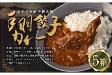 〈 みやざき餃子新名物 手羽餃子カレー 5箱 〉２～３週間以内に順次出荷 カレー 餃子 ギョウザ ギョーザ 手羽餃子 レトルト 常温保存 餃子の馬渡
