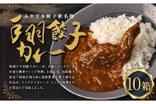 〈 みやざき餃子新名物 手羽餃子カレー 10箱 〉２～３週間以内に順次出荷 カレー 餃子 ギョウザ ギョーザ 手羽餃子 レトルト 常温保存 餃子の馬渡