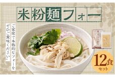 〈米粉麺 フォー 12食 セット（麺のみ +4パック）〉翌月末迄に順次出荷 本格 簡単 麺 スープ ライスヌードル
