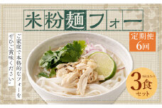 〈【6ヶ月 定期便】米粉麺 フォー 3食 セット（麺のみ +1パック）〉翌月末迄に順次出荷 本格 簡単 麺 スープ ライスヌードル