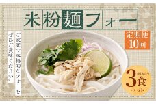〈【10ヶ月 定期便】米粉麺 フォー 3食 セット（麺のみ +1パック）〉翌月末迄に順次出荷 本格 簡単 麺 スープ ライスヌードル