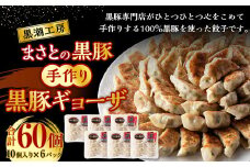 ＜まさとの黒豚 手作り黒豚ギョーザ＞2か月以内に順次出荷
