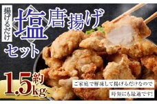 ＜塩唐揚げ セット 約1.5kg＞翌月末迄に順次出荷 約300g×5パック 唐揚げ からあげ から揚げ 鶏のから揚げ 塩味 鶏肉