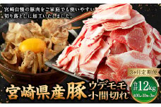 【3ヶ月定期便】＜宮崎県産豚 ウデモモ 小間切れ 400g×10袋（10袋×3回）＞ お申込みの翌月下旬頃に第一回目発送（12月は中旬頃） 豚肉 お肉 肉 新生活応援 卒業祝い 就職祝い 入学 卒業 お花見 引越し