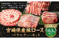＜宮崎県産豚セット（計2.1kg×3回）＞