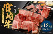 ＜宮崎牛赤身焼肉 1.2kg＞翌月末迄に順次出荷 宮崎牛 牛肉 黒毛和牛 赤身 焼肉 極上 肉質 宮崎県産