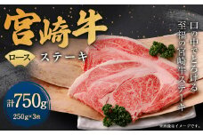 ＜宮崎牛ロースステーキ 3枚（計750g）＞翌月末迄に順次出荷 宮崎牛 牛肉 黒毛和牛 ロース ステーキ 極上 肉質 宮崎県産