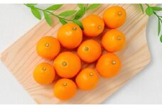 ＜宮崎県産【2025年 数量限定】大粒 完熟キンカン  たまたま 約1kg 化粧箱＞2025年1月中旬～3月中旬迄に順次出荷 金柑 きんかん フルーツ 柑橘 果物 くだもの 数量限定