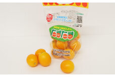 ＜宮崎県産【2025年 数量限定】大粒  完熟キンカン たまたま 250g 小袋10袋入り＞2025年1月中旬～2月下旬迄に順次出荷 金柑 きんかん フルーツ 柑橘 果物 くだもの 数量限定 小袋 セット