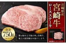 ＜宮崎牛 ロースステーキ 3枚 750g＞翌月末迄に順次出荷 宮崎牛 ロース ステーキ 牛肉 国産 和牛 新生活応援 卒業祝い 就職祝い 入学 卒業 お花見 引越し