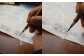 職人の手書きの文字でつくる実印・黒水牛