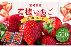 ＜宮崎県産 有機いちご食べ比べセット＞※入金確認後、2025年1月～3月迄に順次出荷します。 計500g いちご 苺 食べ比べ セット