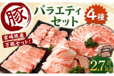 ＜宮崎県産豚 バラエティセット 計2.7kg＞翌月末迄に順次出荷 バラエティセット 4種 合計2.7kg 豚バラ焼肉 豚ロースor肩ローススライス 豚モモスライス 豚小間切れ 豚ロース 肩ロース 豚肉 豚 肉 精肉 料理 宮崎県産 宮崎県 宮崎 みやざき 高鍋町 冷凍