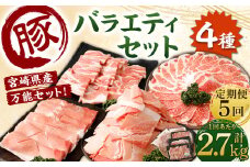 ＜【5回定期便】宮崎県産豚 バラエティセット 計2.7kg＞お申込みの翌月下旬頃に第一回目発送（12月は中旬頃） バラエティセット 4種 合計13.5kg 豚バラ焼肉 豚ロースor肩ローススライス 豚モモスライス 豚小間切れ 豚ロース 肩ロース 豚肉 豚 肉 精肉 料理 宮崎県産 宮崎県 宮崎 みやざき 高鍋町 定期便 冷凍