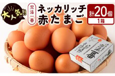 ＜児湯養鶏自慢の卵 ＞ネッカリッチ赤たまご「児湯一番」20個 1箱【A14】