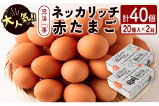 ＜児湯養鶏自慢の卵 ＞ネッカリッチ赤たまご「児湯一番」計40個（20個入×2箱）【B19】