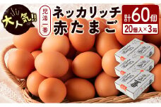 ＜児湯養鶏自慢の卵 ＞ネッカリッチ赤たまご「児湯一番」計60個（20個入×3箱）【B23】