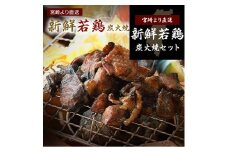 鶏炭火焼きセット（16パック）真空パック【E3-45】