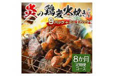 炎の鶏炭火焼きセット＜9パック+ミニ1パック＞ 8ヶ月定期便【F1-2503】