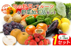 産地直送！旬の野菜・フルーツ＆野菜加工品 セット お試し 1回お届け おまかせ 詰合せ 宮崎県新富町産【C431】
