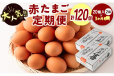 ＜児湯養鶏自慢の卵＞ネッカリッチ赤たまご「児湯一番」 計120個 （20個入×2箱）×3か月定期便【C55】