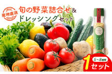 産地直送！旬の野菜（5～8種類）＆ドレッシング セット お試し おまかせ 詰合せ 宮崎県新富町産【B643】