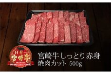 ＜宮崎牛＞赤身焼肉カット500g【B217-60】