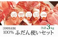 宮崎県産豚 普段使いセット 500g×6パック 合計3kg【B235-60】