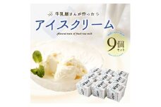 新富町産牛乳をたっぷり使用！牛乳屋さんが作ったアイスクリーム 9個セット【B309】