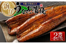 ［うなぎ特集掲載の品］新仔‼味鰻の手焼備長炭蒲焼 2尾（無頭）化粧箱入 熨斗対応可【B541-2311】