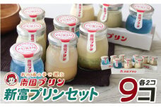 南国宮崎の新名物！南国プリン9個セット【C257】