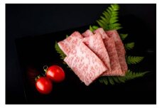 宮崎黒毛和牛『こゆ牛』カルビ肉 500g A4等級以上【B244】