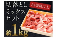 ［訳あり］宮崎黒毛和牛『こゆ牛』切り落としミックスセット 合計1kg（サイコロカット・スライス）A4等級以上【B30】