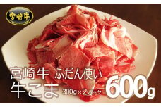 ＜宮崎牛＞牛こま肉 600g（300g×2パック）【B447-60】
