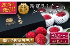 ［2026年発送］先行予約 希少！国産＜新富ライチpremium50＞50g以上×8玉 国産 ブランド フルーツ 果物 贈答品【C52-26】