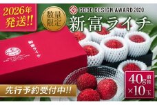 ［2026年発送］先行予約 希少！国産＜新富ライチ＞40g前後×10玉 国産 ブランド フルーツ 果物 贈答品【B120-26】