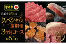 ＜宮崎牛＞厳選スペシャル肉定期便 3ヵ月コース【F66】